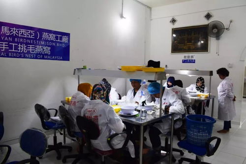 福利已备好！南宁人想不到的年味，都藏在这份晶莹剔透之中